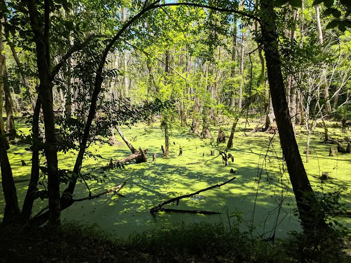 Isle of Wight Family Campground Picture 7