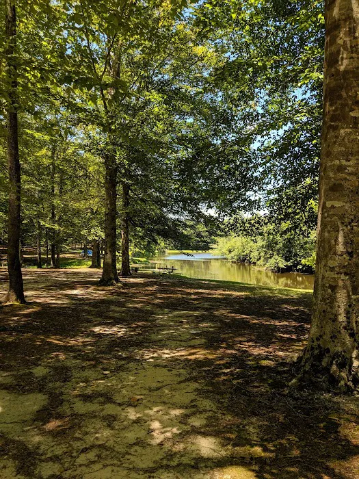 Isle of Wight Family Campground Picture 8