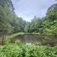 Tomahawk Pond Campground ico