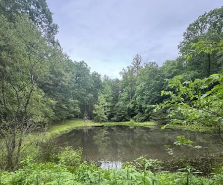 Tomahawk Pond Campground