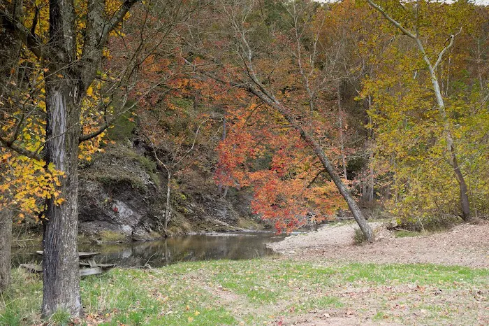 Rivers Edge Campground Picture 6