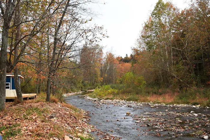 Rivers Edge Campground Picture 8