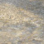 Blue Hole Day Use Area