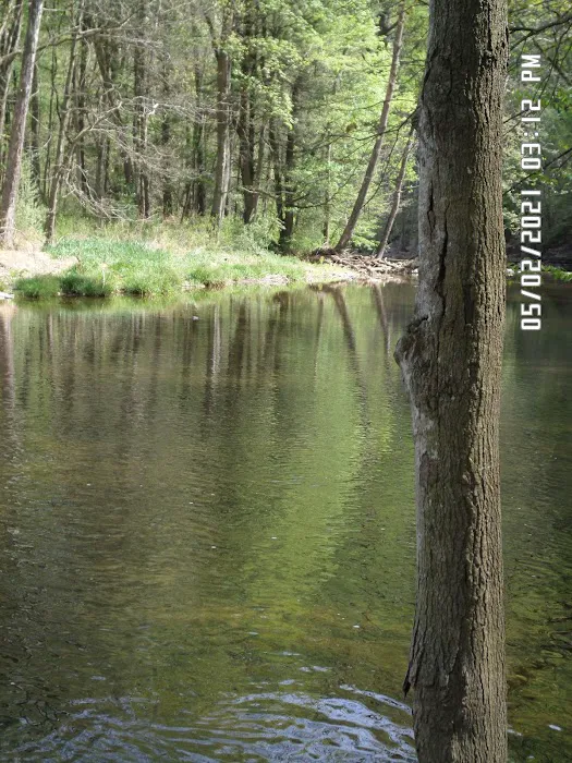 Blue Hole Day Use Area Picture 2