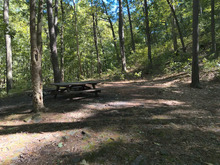 Camp Run Campground Picture 1