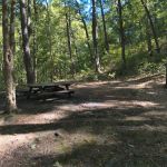Camp Run Campground