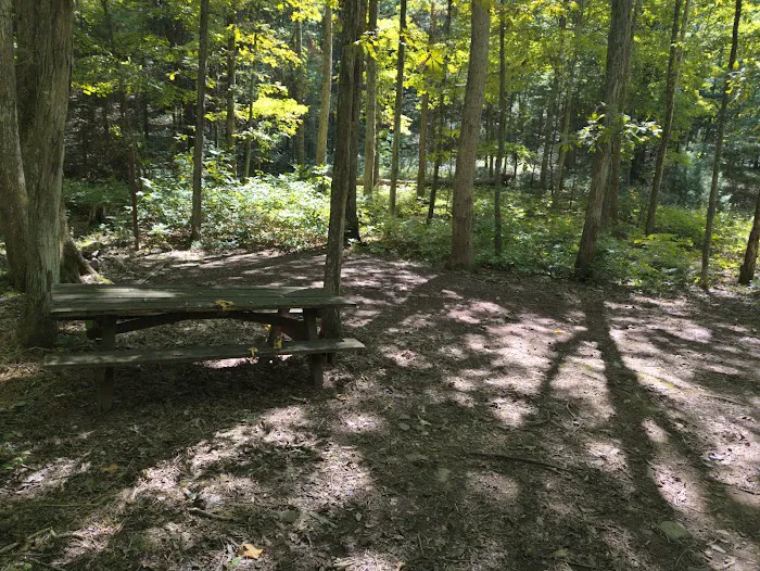 Camp Run Campground Picture 2