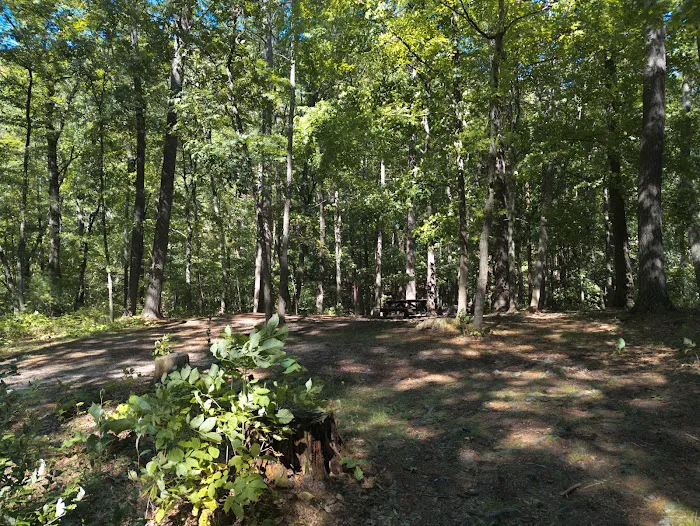 Camp Run Campground Picture 3