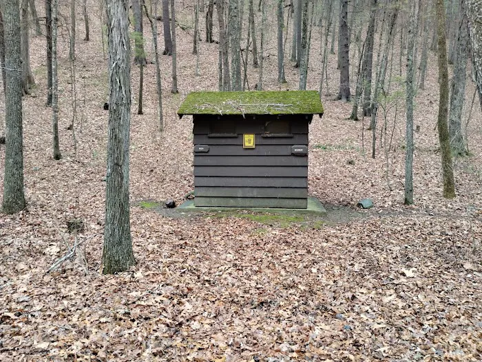 Camp Run Campground Picture 5