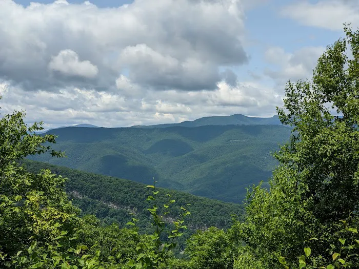 Big Bend Campground Picture 4