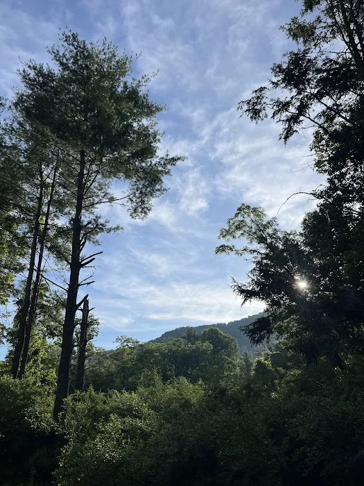 Big Bend Campground Picture 6