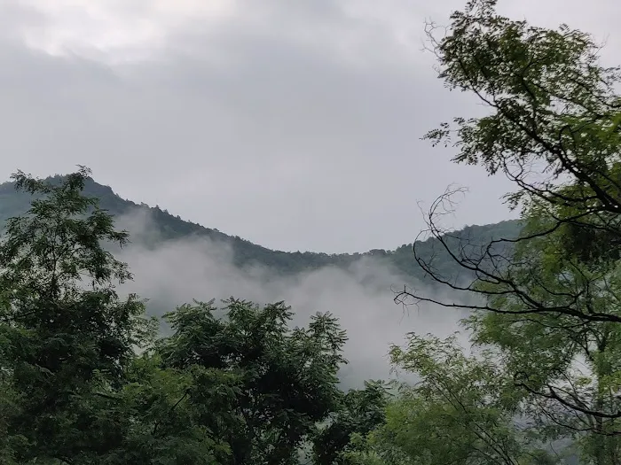 Big Bend Campground Picture 7