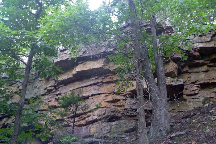 Big Bend Campground Picture 10