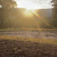 Rocky Hollow Paradise LLC ico