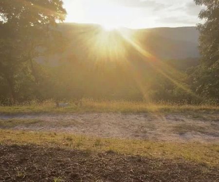 Rocky Hollow Paradise LLC