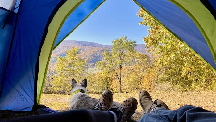 Rocky Hollow Paradise LLC Picture 7