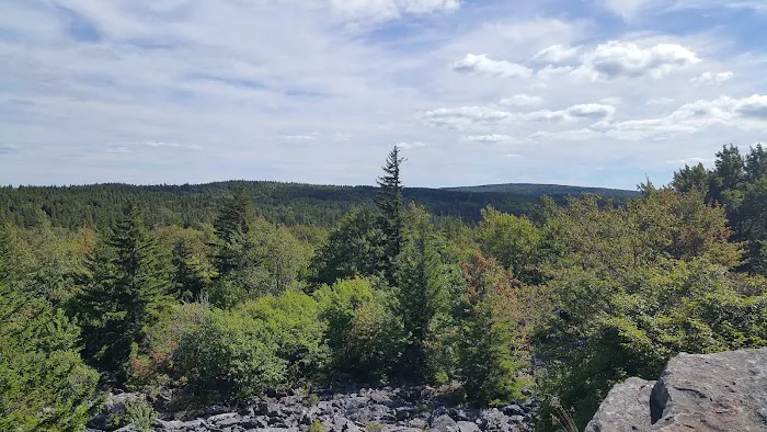 Red Creek Campground Picture 9