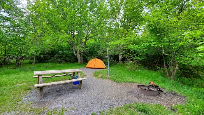 Red Creek Campground Picture 3