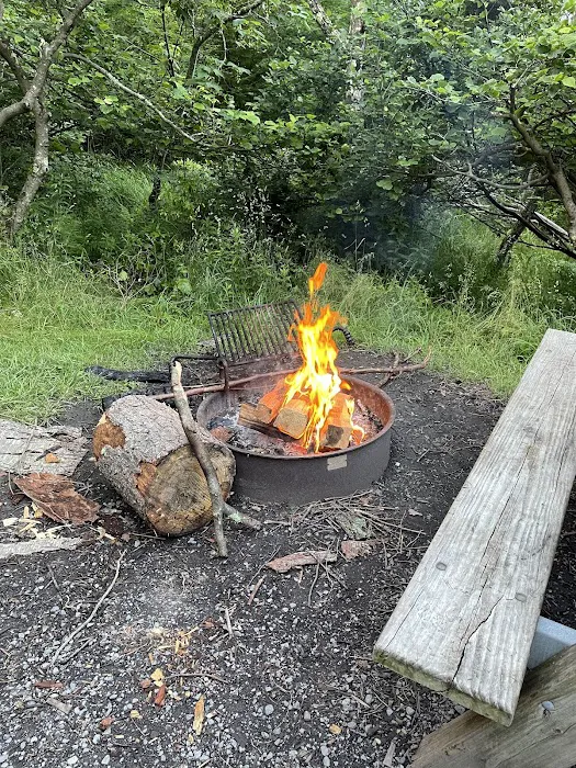 Red Creek Campground Picture 2