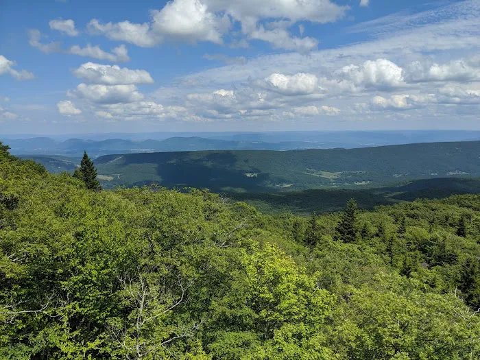 Red Creek Campground Picture 4