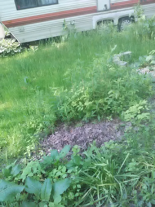 Runamuck Campground & RV Supply Picture 1