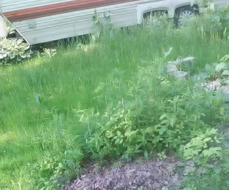 Runamuck Campground & RV Supply