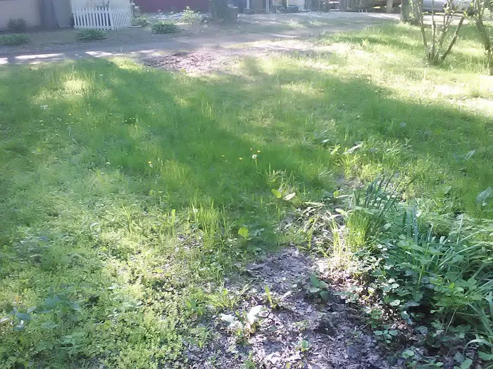 Runamuck Campground & RV Supply Picture 2