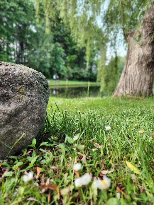 Pineview Camplands Picture 5