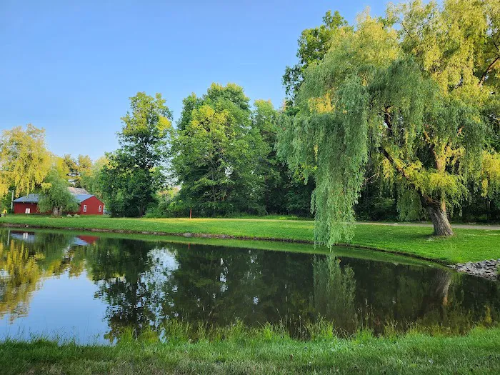 Pineview Camplands Picture 8