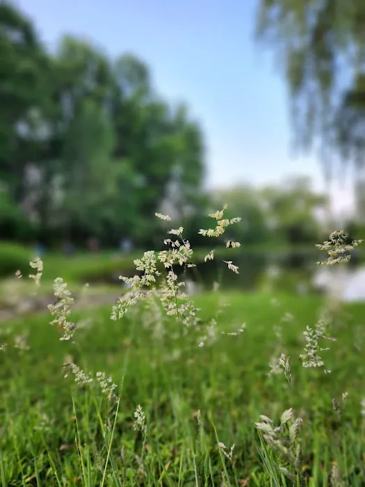 Pineview Camplands Picture 4