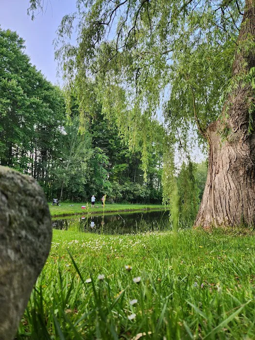 Pineview Camplands Picture 6