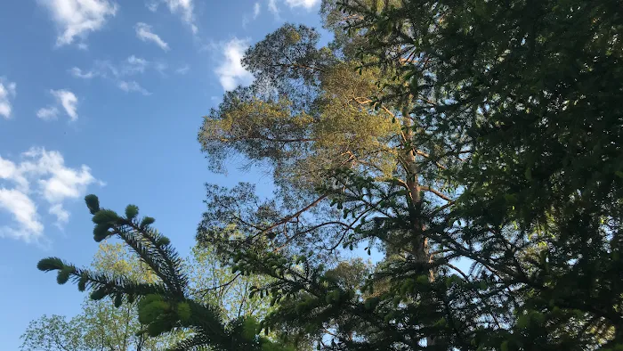 Pineview Camplands Picture 9