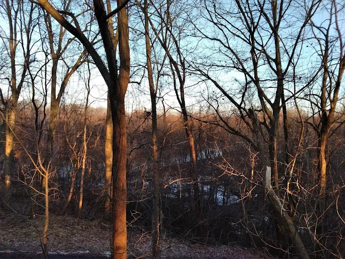 Locust Lane Campground Picture 9