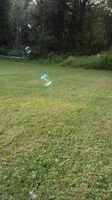 Locust Lane Campground Picture 8