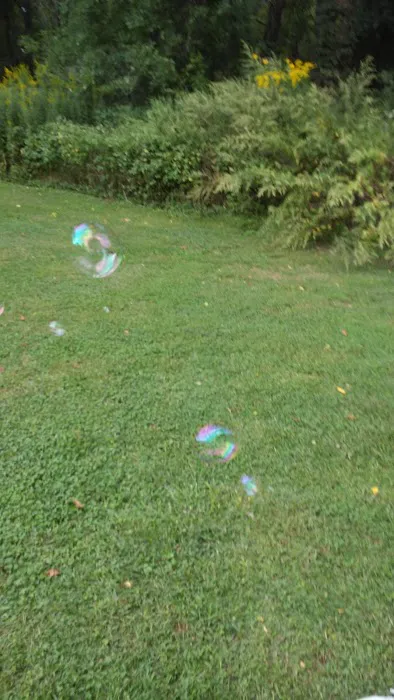 Locust Lane Campground Picture 2