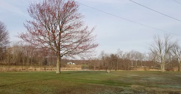 Village Green Campground Picture 2