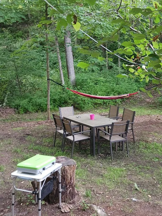 Harmony Ridge on the River Picture 7