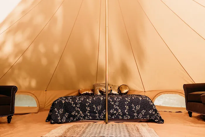 Harmony Ridge on the River Picture 8