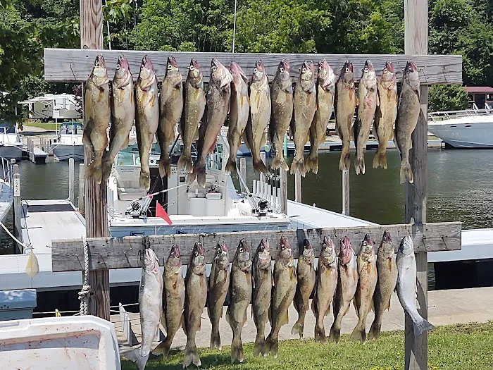 Kister Marina and Campground Picture 7