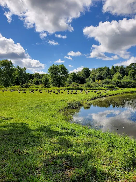 Crystal Springs Campground Picture 9