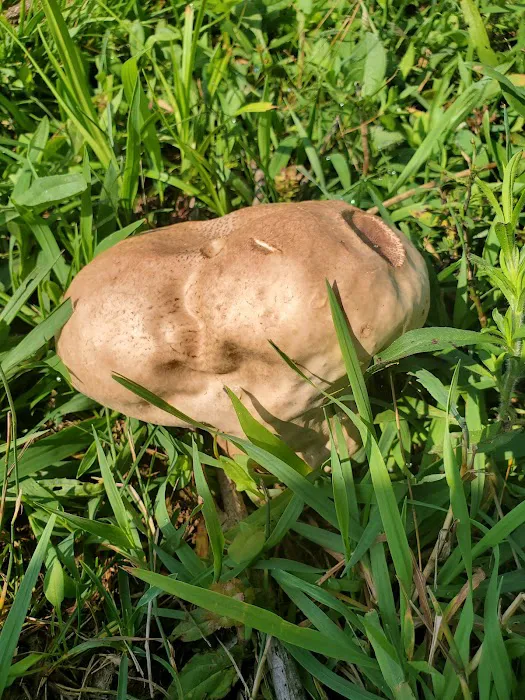 Crystal Springs Campground Picture 7