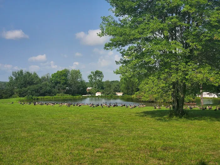 Crystal Springs Campground Picture 6