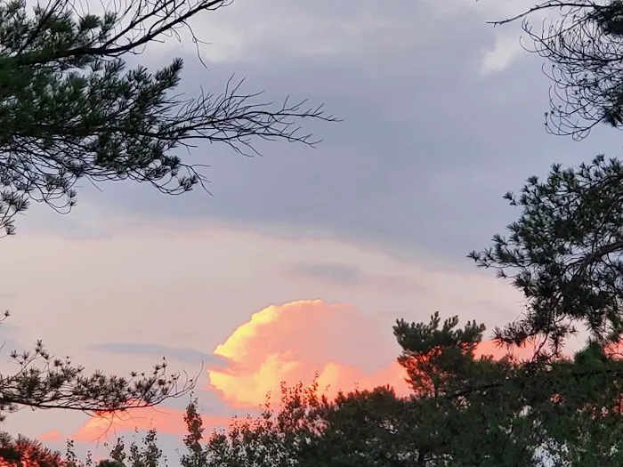 Crystal Springs Campground Picture 3