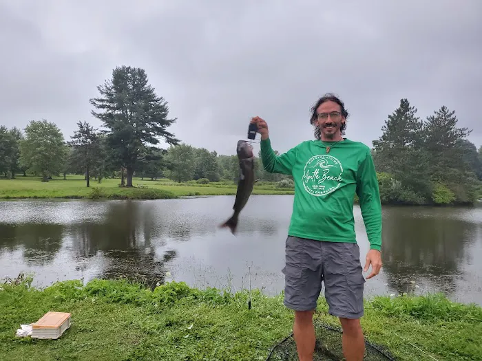 Crystal Springs Campground Picture 4