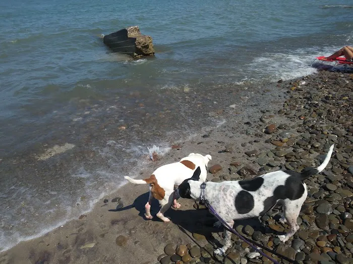 Hide-A-Way Lakes Campground Picture 9