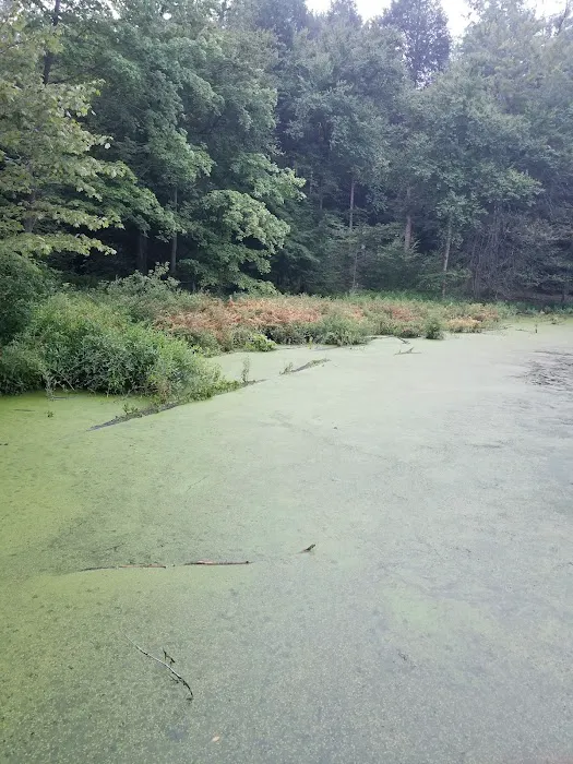 The Great Outdoors Family Campground Picture 10