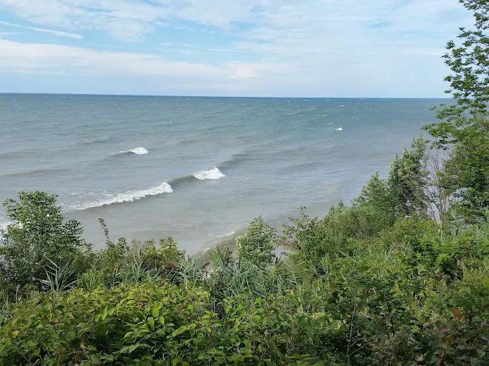 Luoma's Surfers Paradise Camping Attn: Sue Rose Picture 5