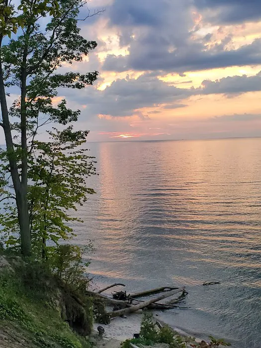 Luoma's Surfers Paradise Camping Attn: Sue Rose Picture 7