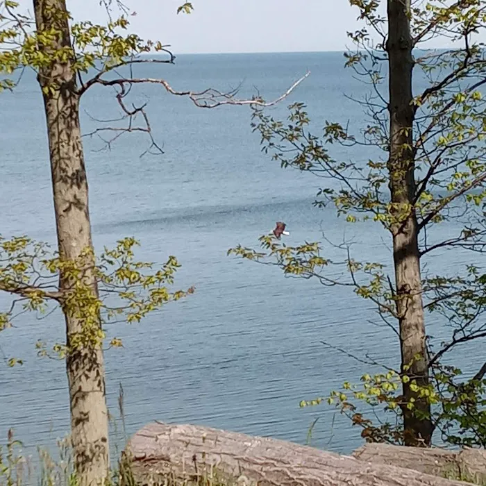 Luoma's Surfers Paradise Camping Attn: Sue Rose Picture 8