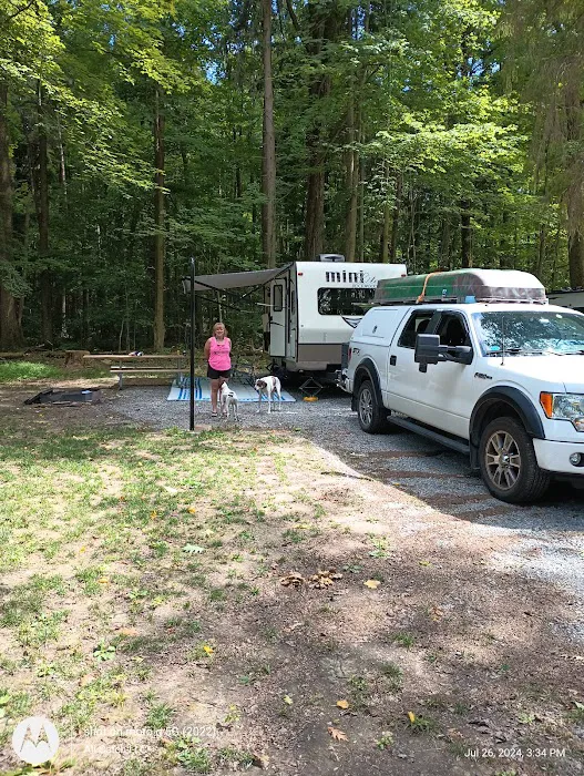 Tuttle Point Campground Picture 7